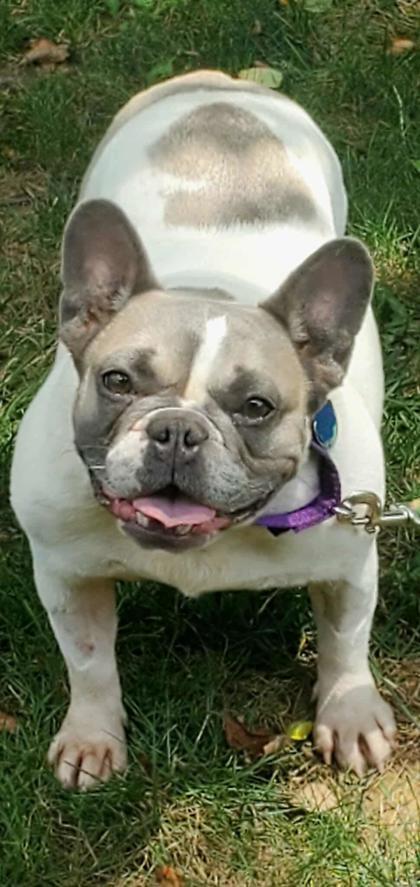 Darla