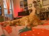 Sunkist photo 3