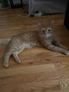 Sunkist photo 4
