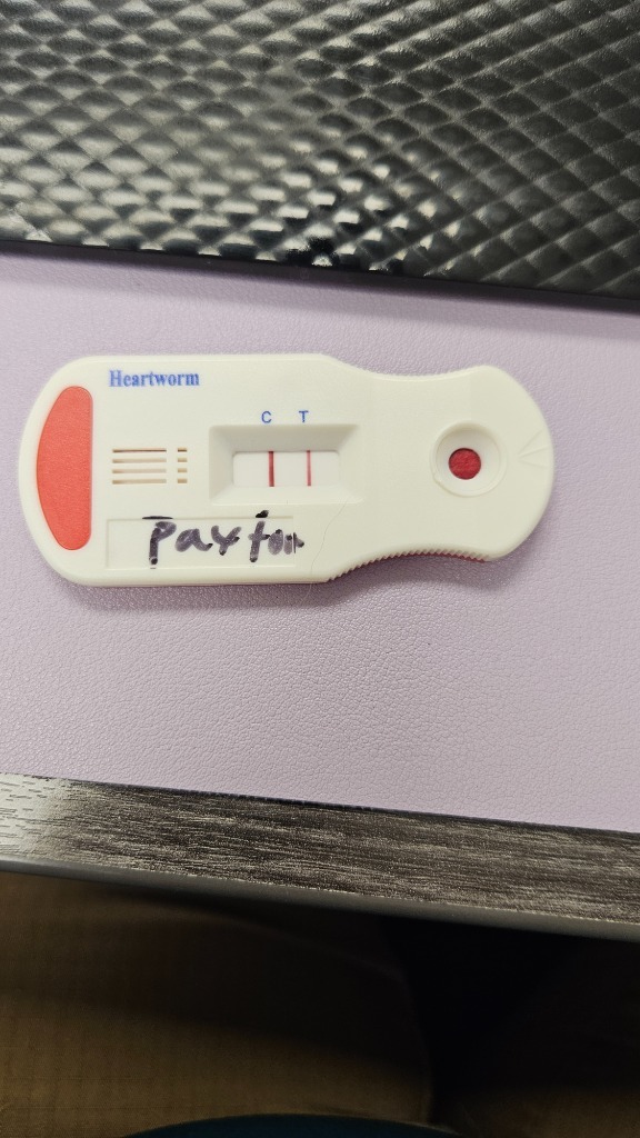 Paxton