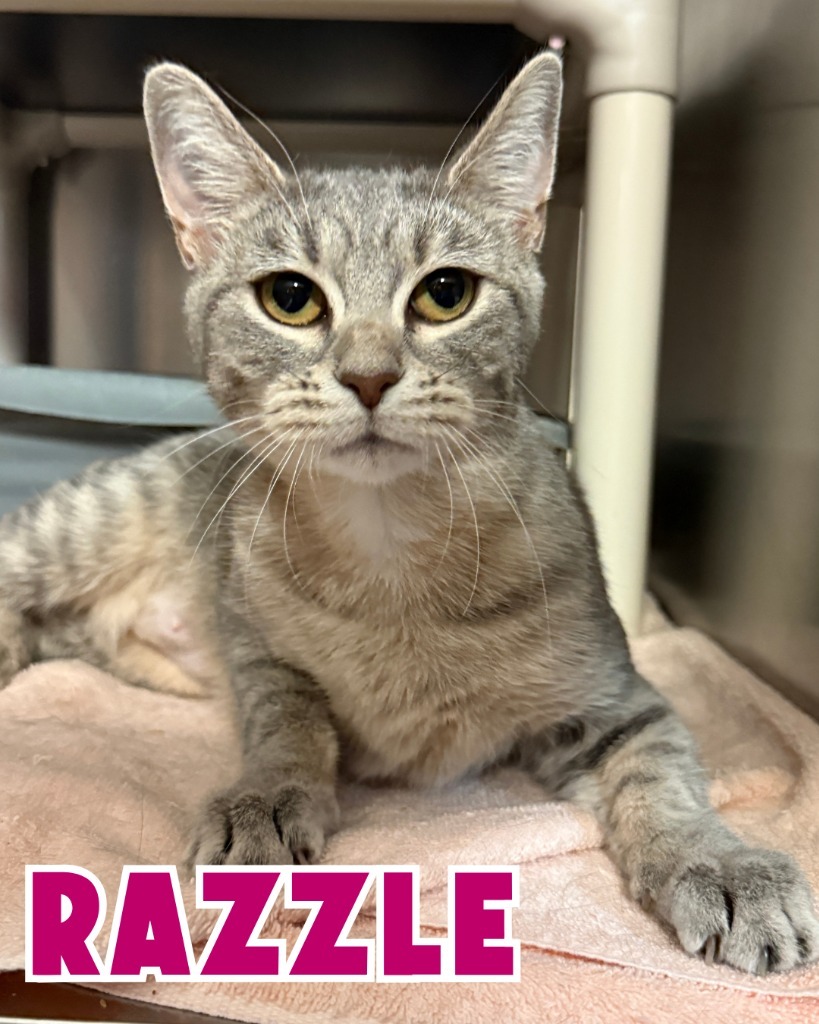 Razzle