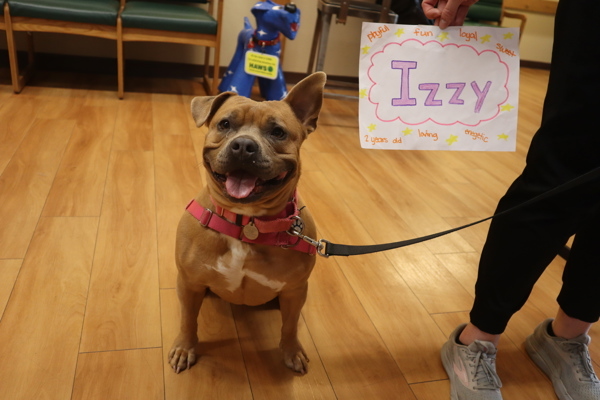 Izzy