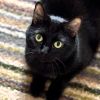 Maria Von Catt photo 1