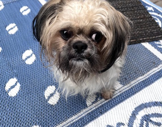 Sweetums