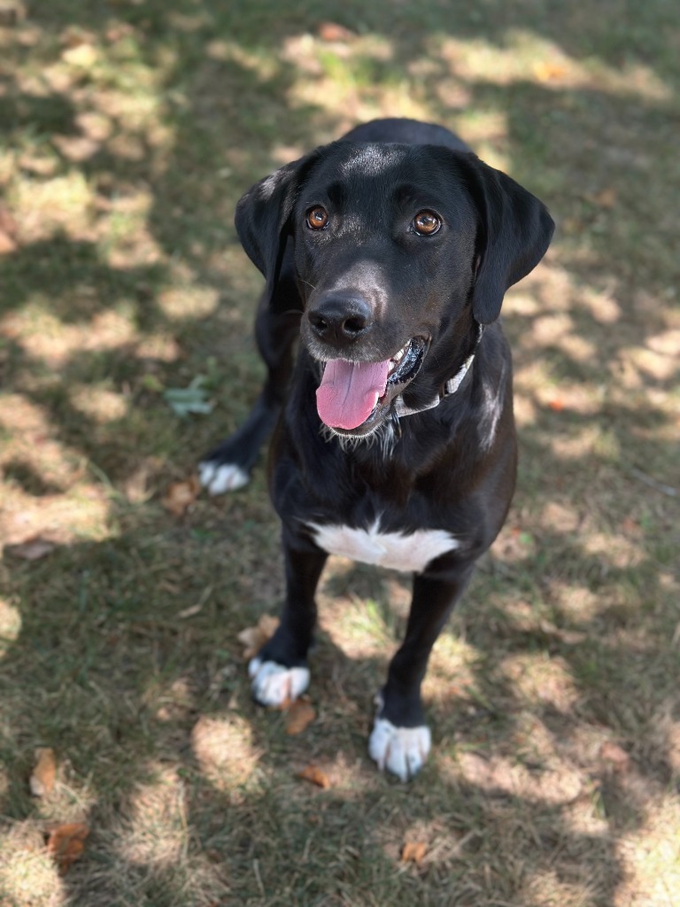 Heidi