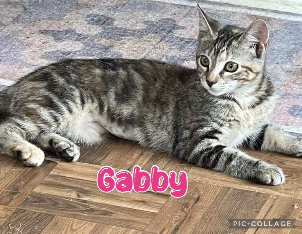 Gabby