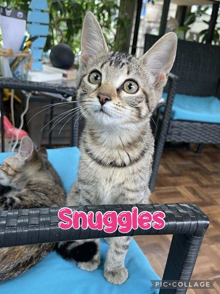 Snuggles