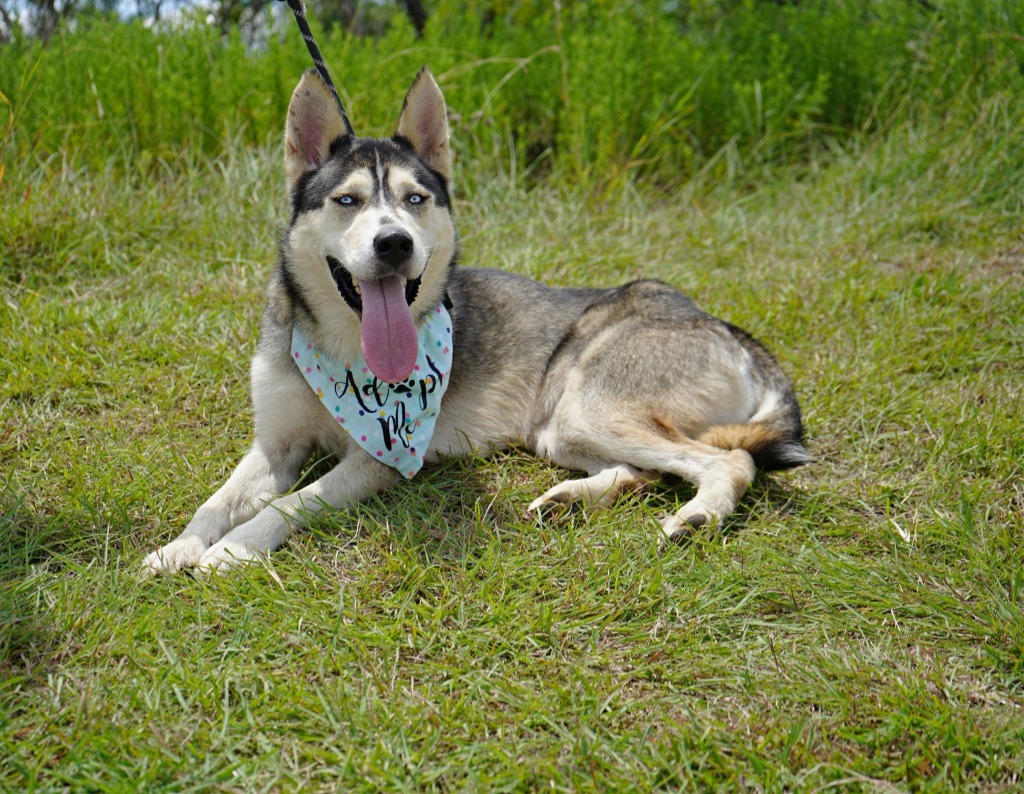 Katmai