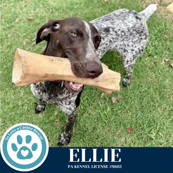 Ellie