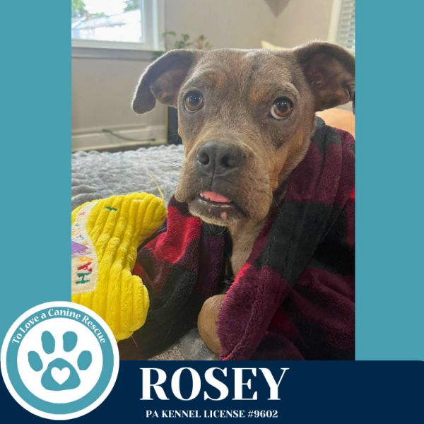Rosey