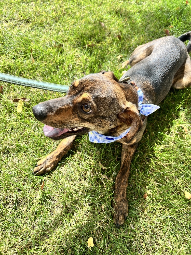 RONAN