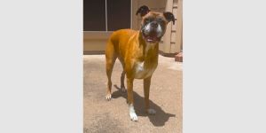 Bella XV, Senior Female unknown