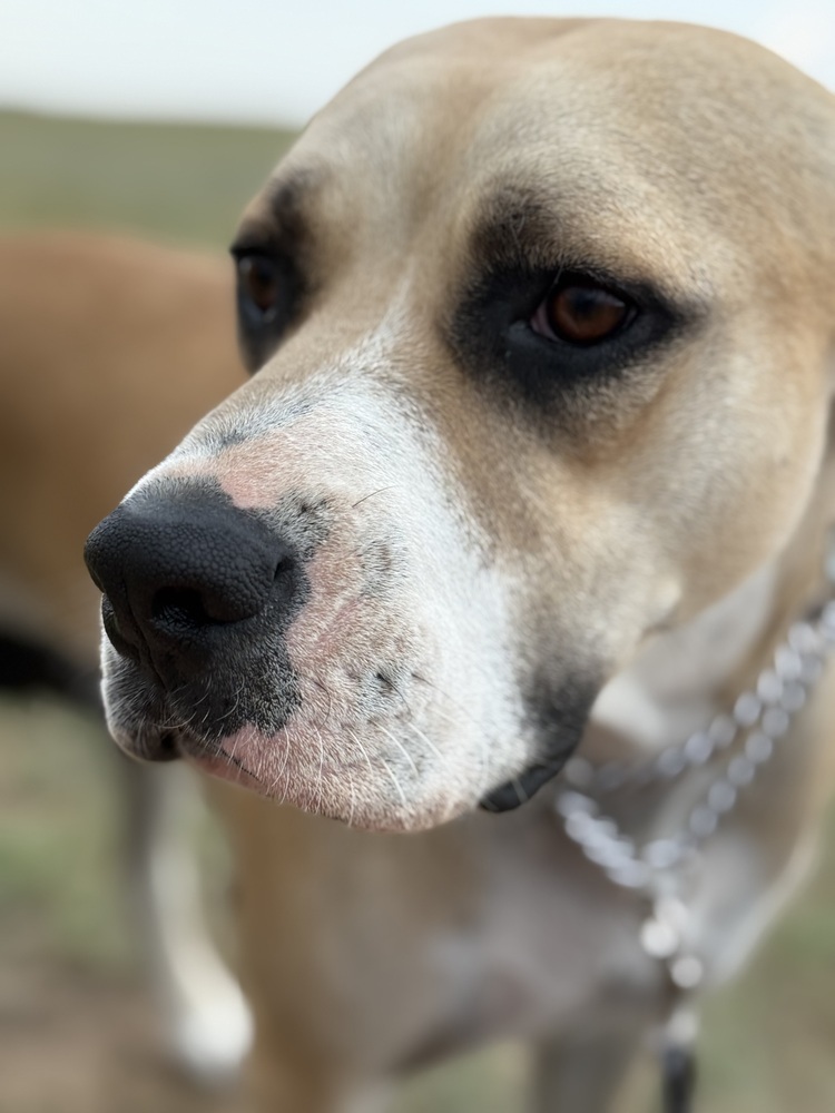 Maggie