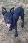 Penelope photo 4