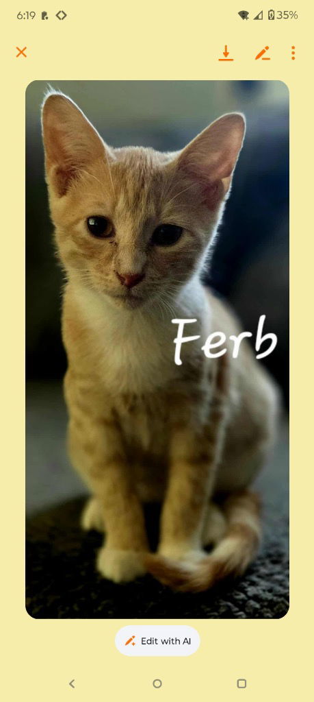 Ferb