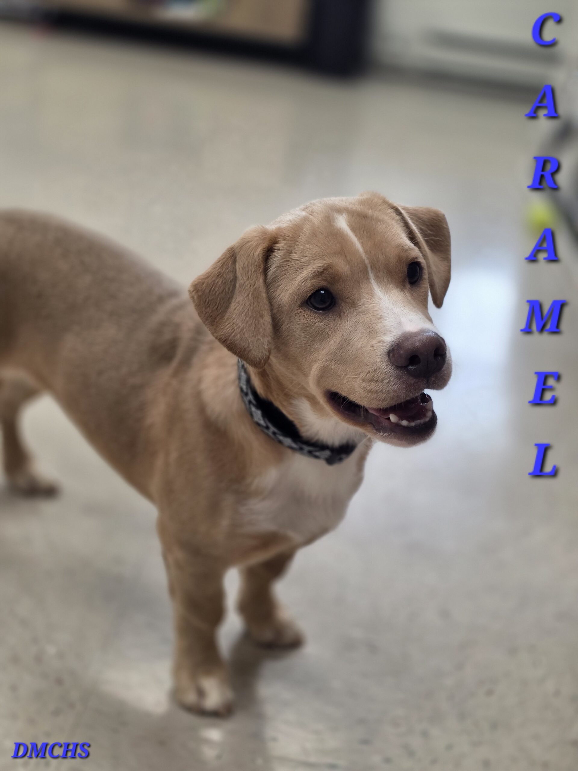 Caramel