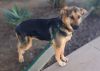 Ripley* photo 2