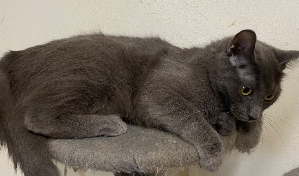 Luna