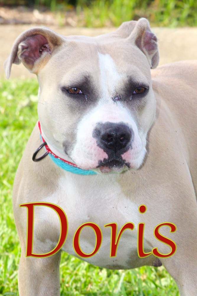 Doris
