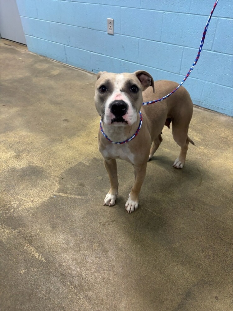 Doris