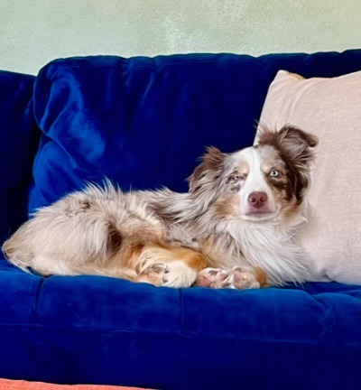 Charly