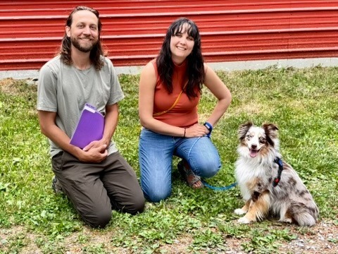 Charly, an adoptable Australian Shepherd in Thompson Falls, MT, 59873 | Photo Image 6