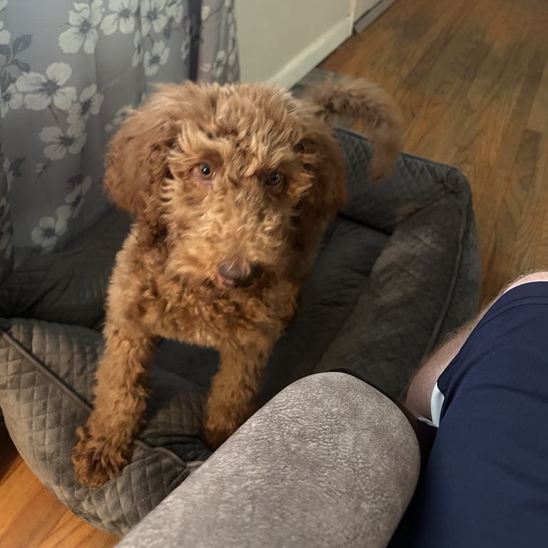 Murphy