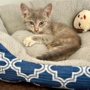 Ellie May, Baby Female unknown