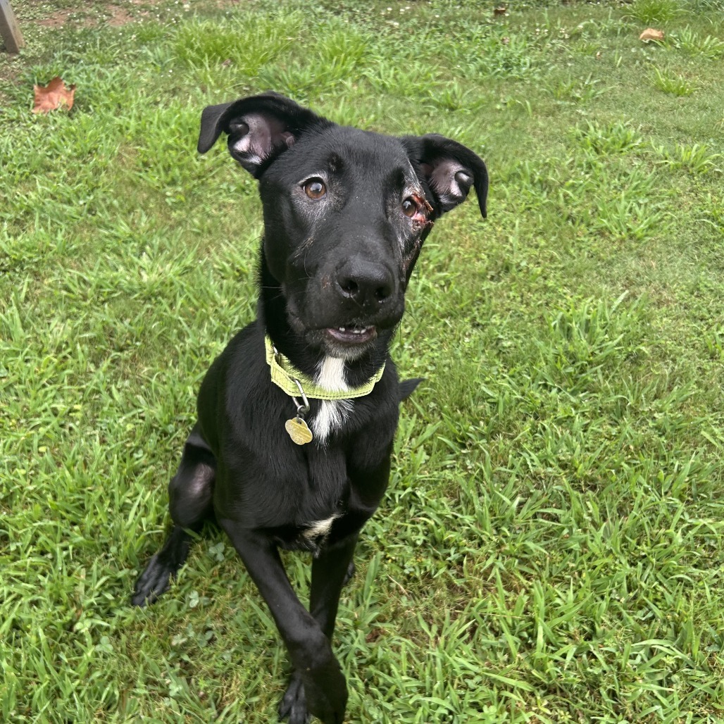 Harvey Photo