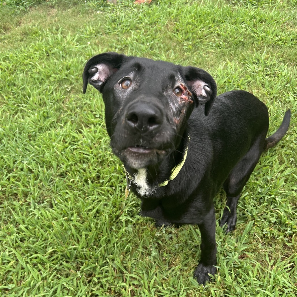 Harvey Photo