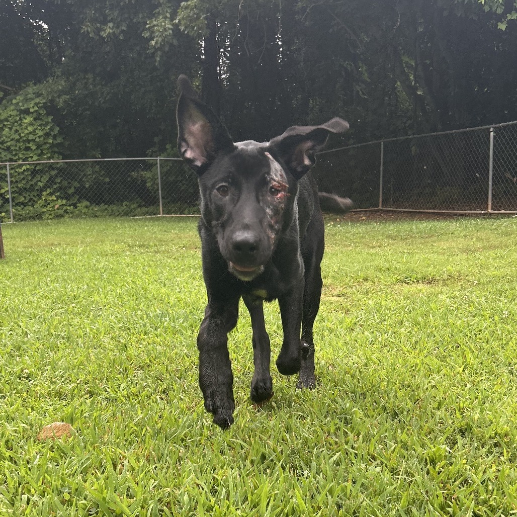 Harvey Photo