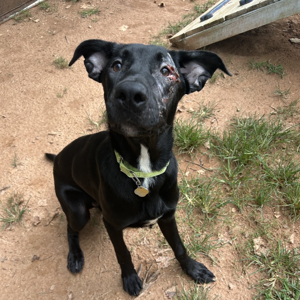 Harvey Photo