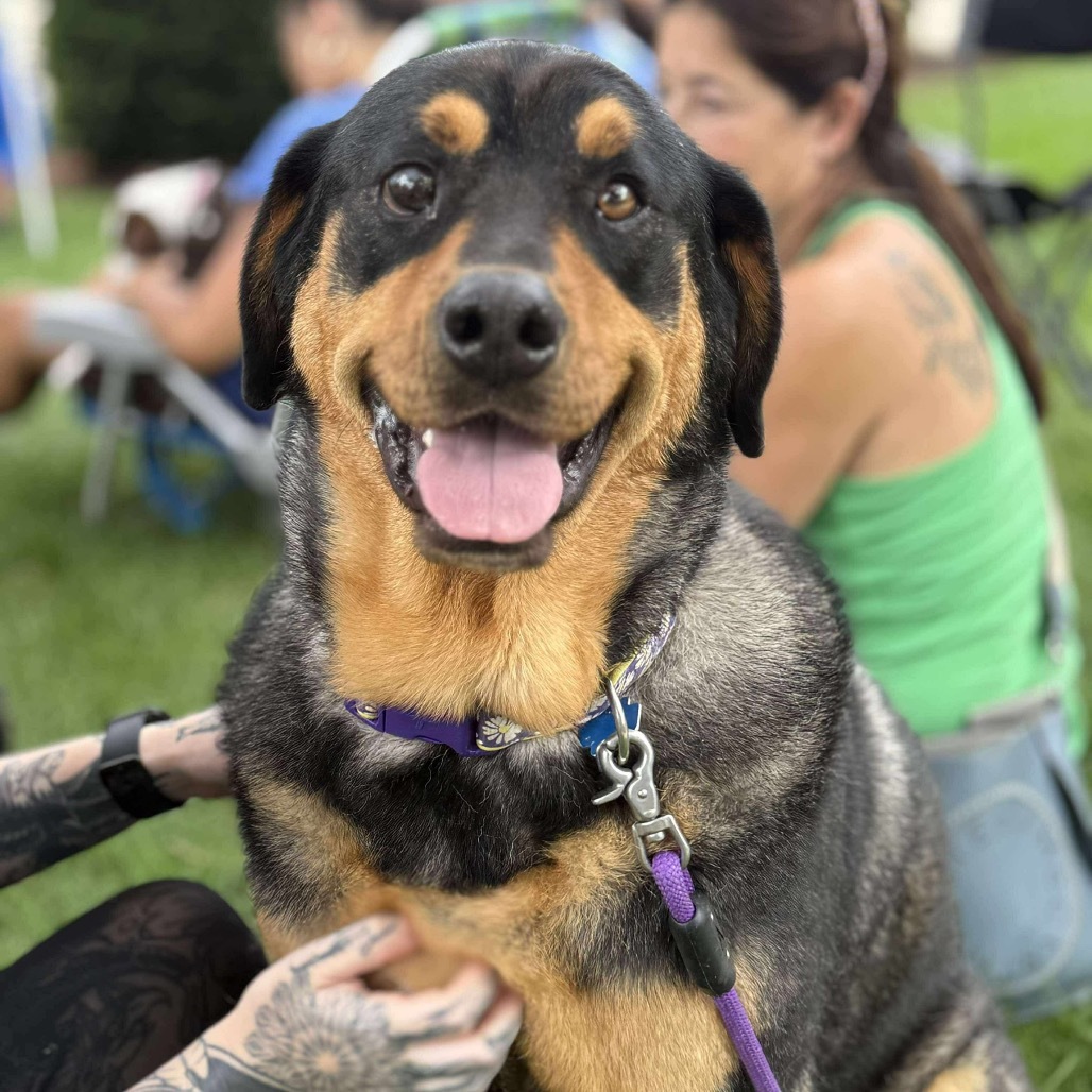 Courtesy Post- Mavis (bonded pair to Hades)