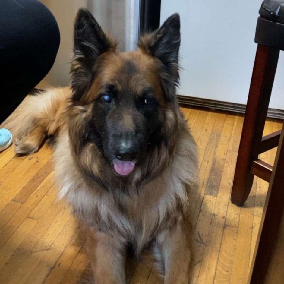Loki