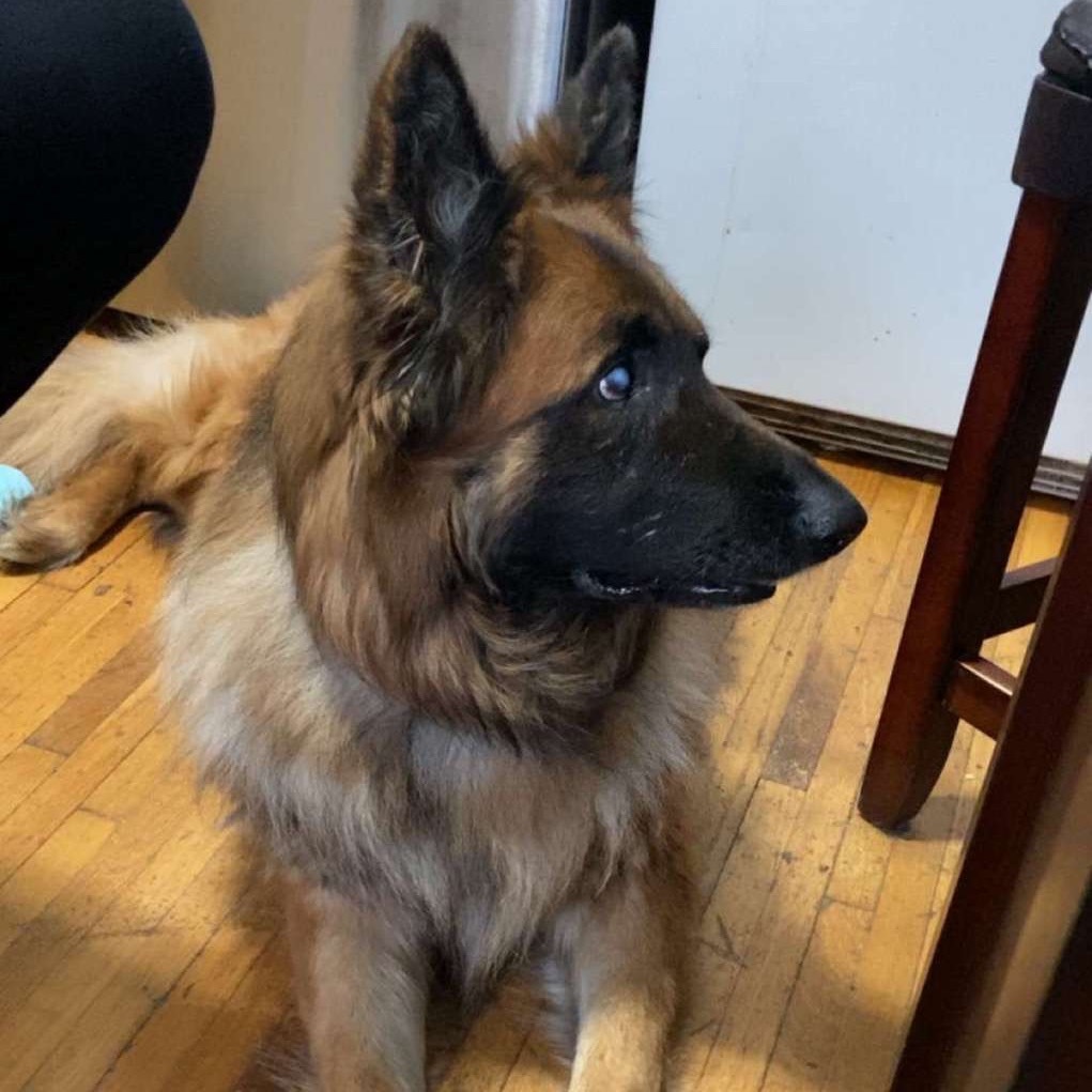 Loki