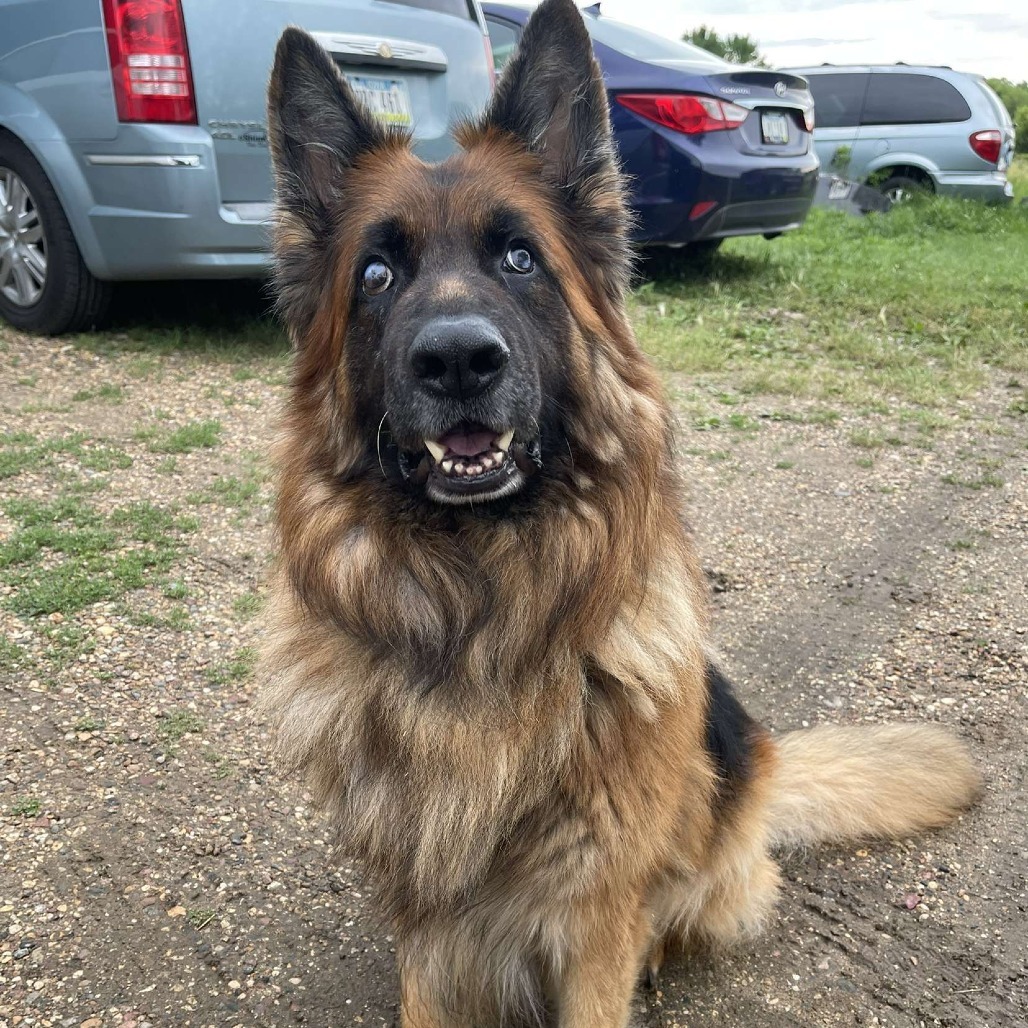 Loki
