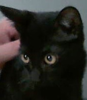 Minno, Baby Male unknown