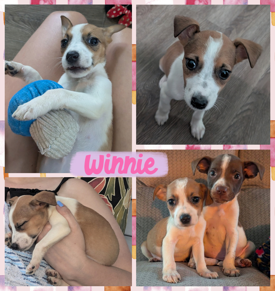 Winnie
