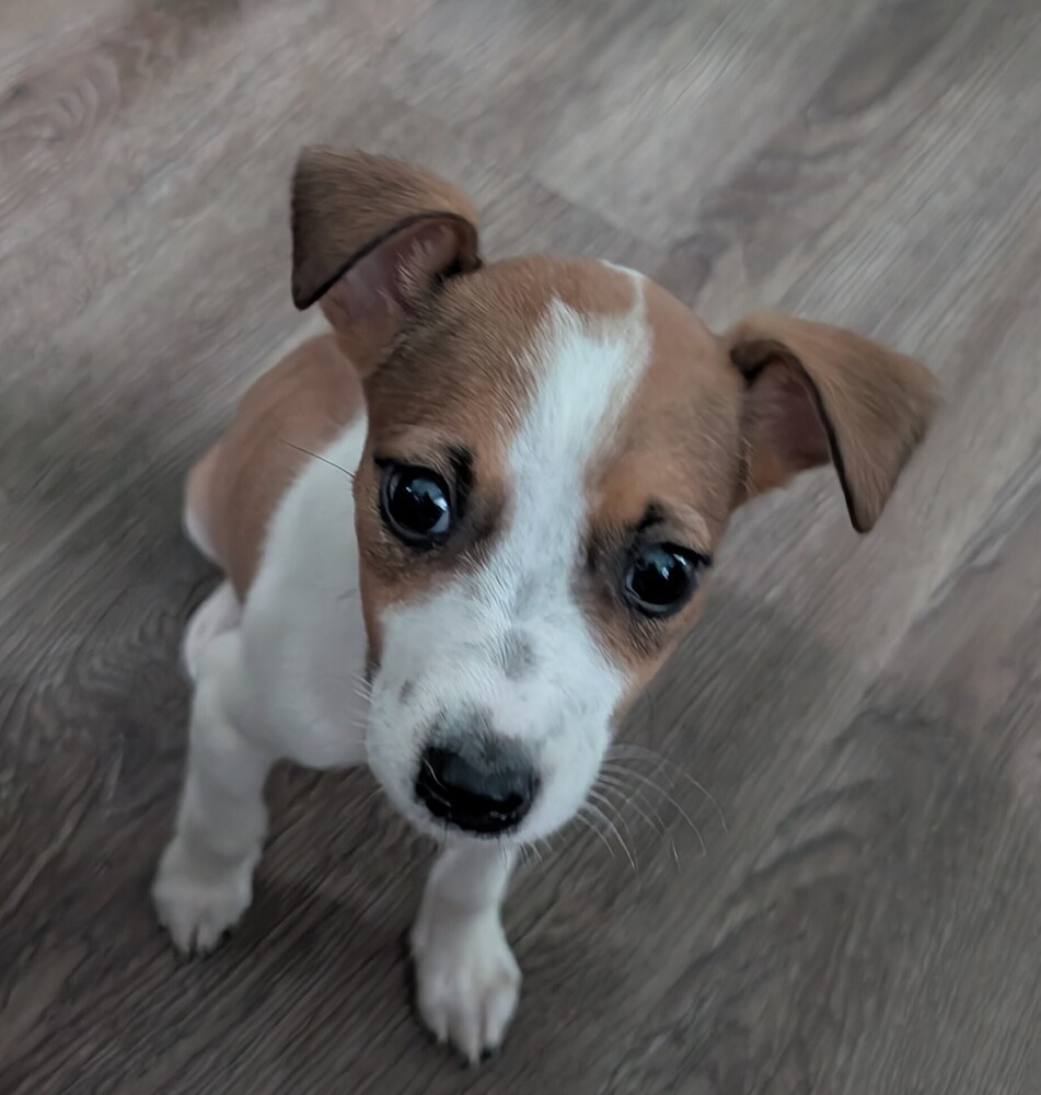 Winnie