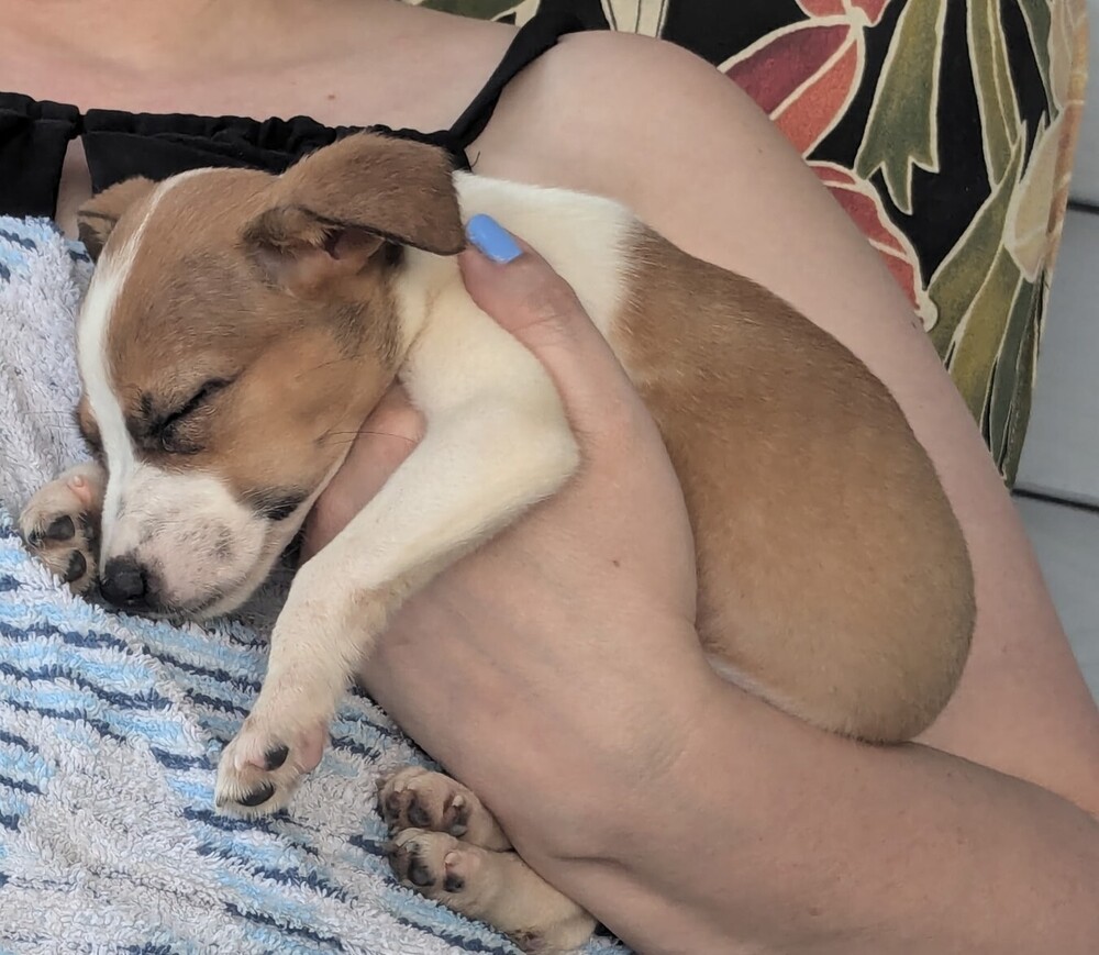 Winnie