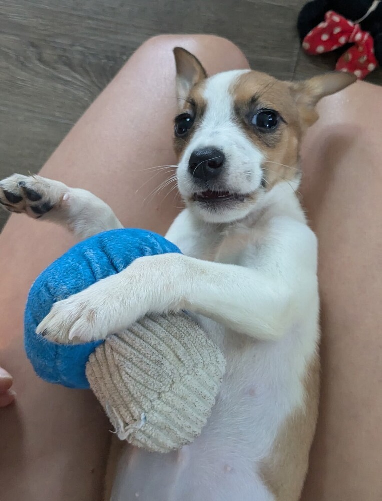 Winnie