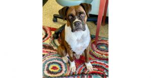 Anora, Senior Female unknown