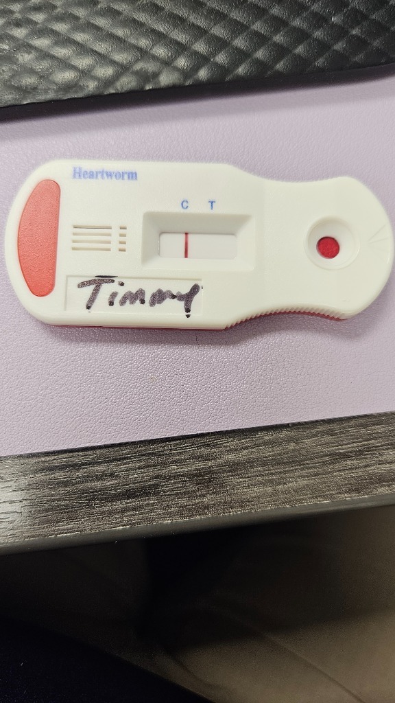 Timmy