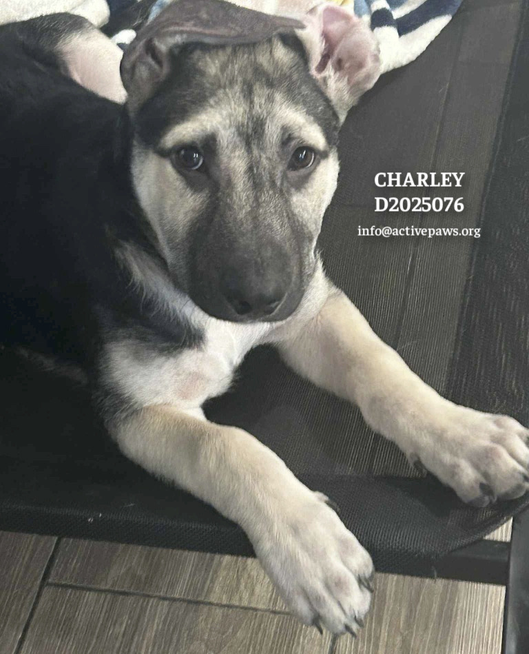 Charley