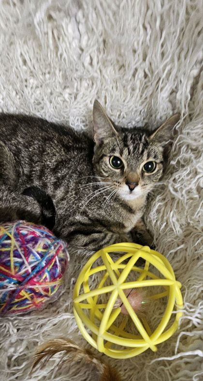 Rhea @ PetSmart
