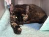 Princess Shelly photo 5