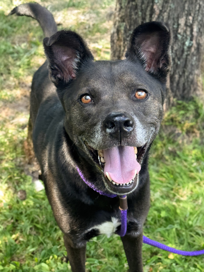 Zeus