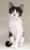 Eloise photo 2
