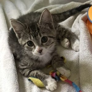 Daisy, Baby Female unknown