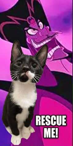 Jafar